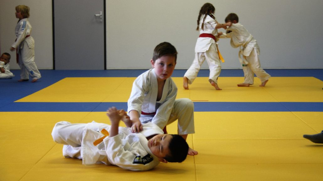 Proeflessen JUDO